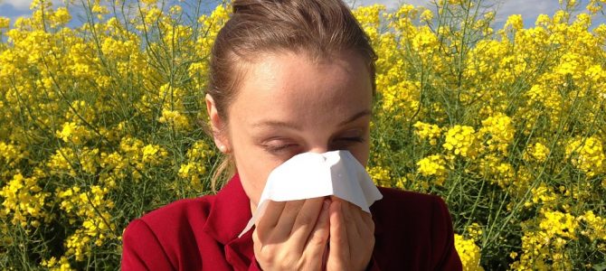 Consejos para conductores con alergia Consejos para conductores con alergia